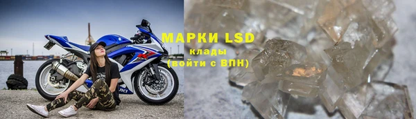 мяу мяу мука Михайлов