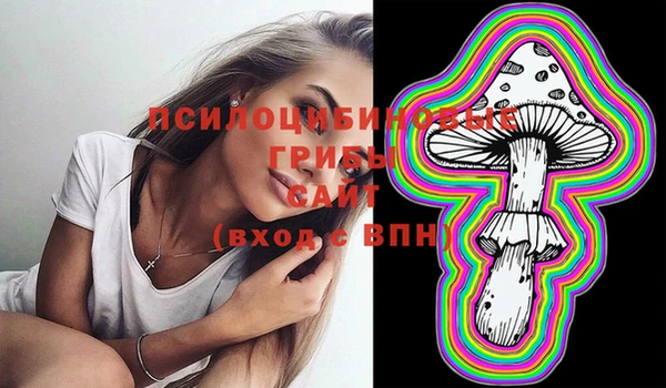 MESCALINE Надым