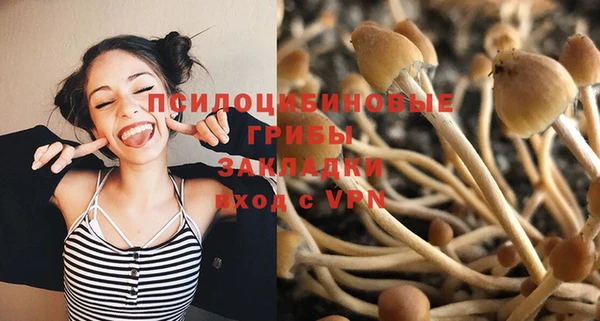прущая мука Навашино