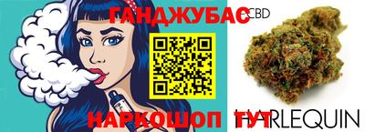 дмт Гусев