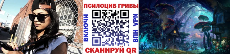 Псилоцибиновые грибы прущие грибы  где купить наркоту  Казань 