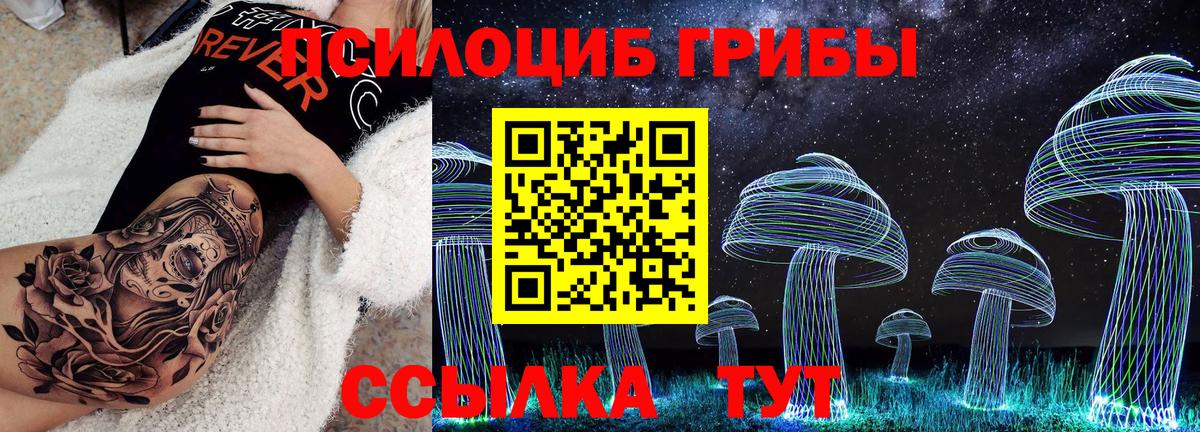 Галлюциногенные грибы Psilocybe  Казань  наркошоп  Псилоцибиновые грибы Cubensis 