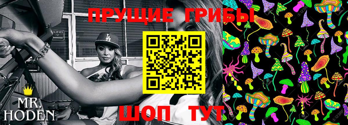 Галлюциногенные грибы Cubensis Казань