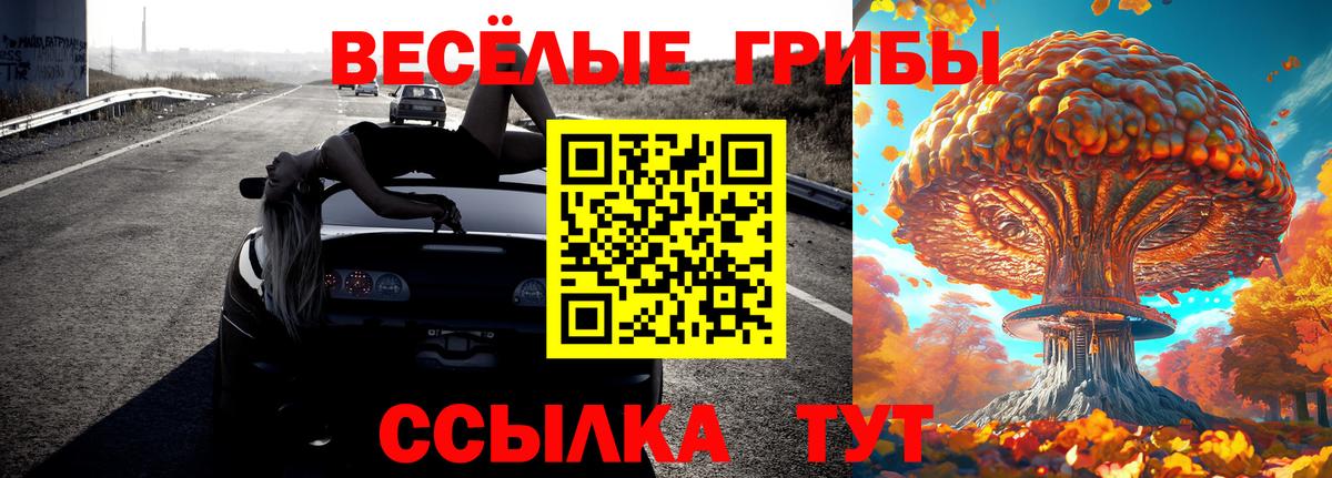 Галлюциногенные грибы GOLDEN TEACHER  Вход с VPN  Казань 
